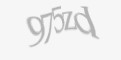 **Защитный код**