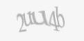 **Защитный код**